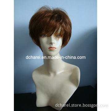 Human Hair Wig